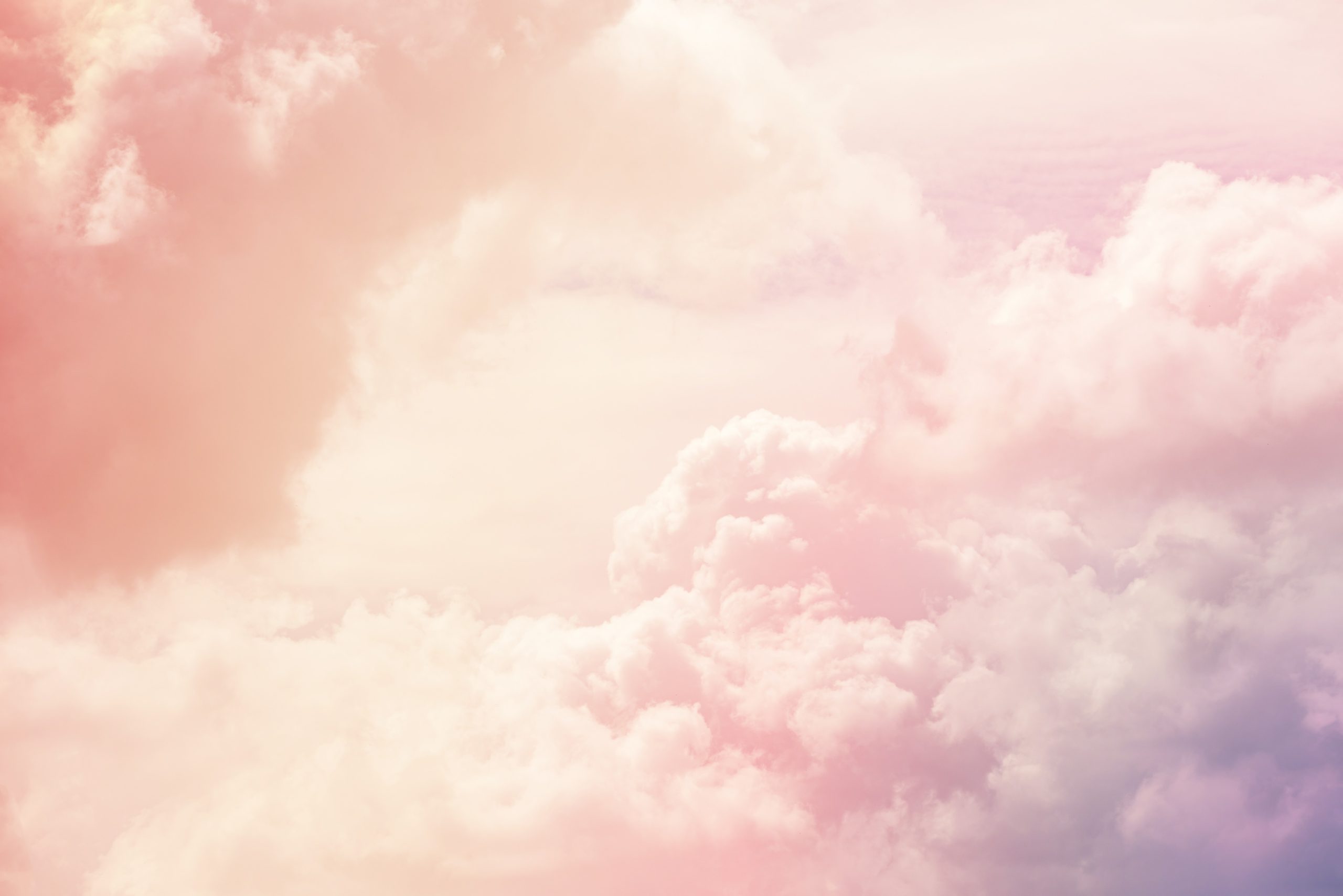 最後の砦 心理療法